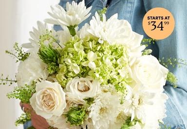 Header navigation sub menu