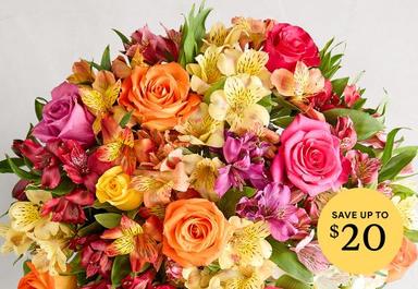 Header navigation sub menu